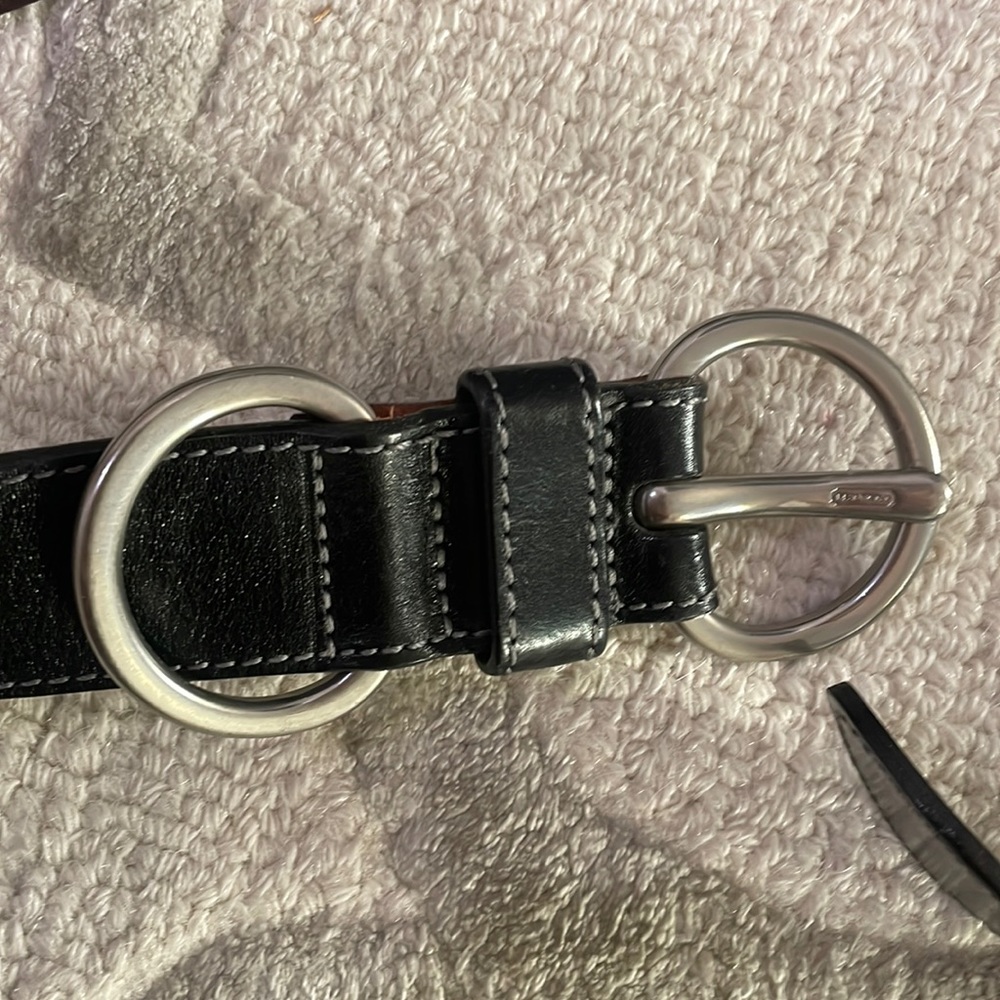 Coach belt